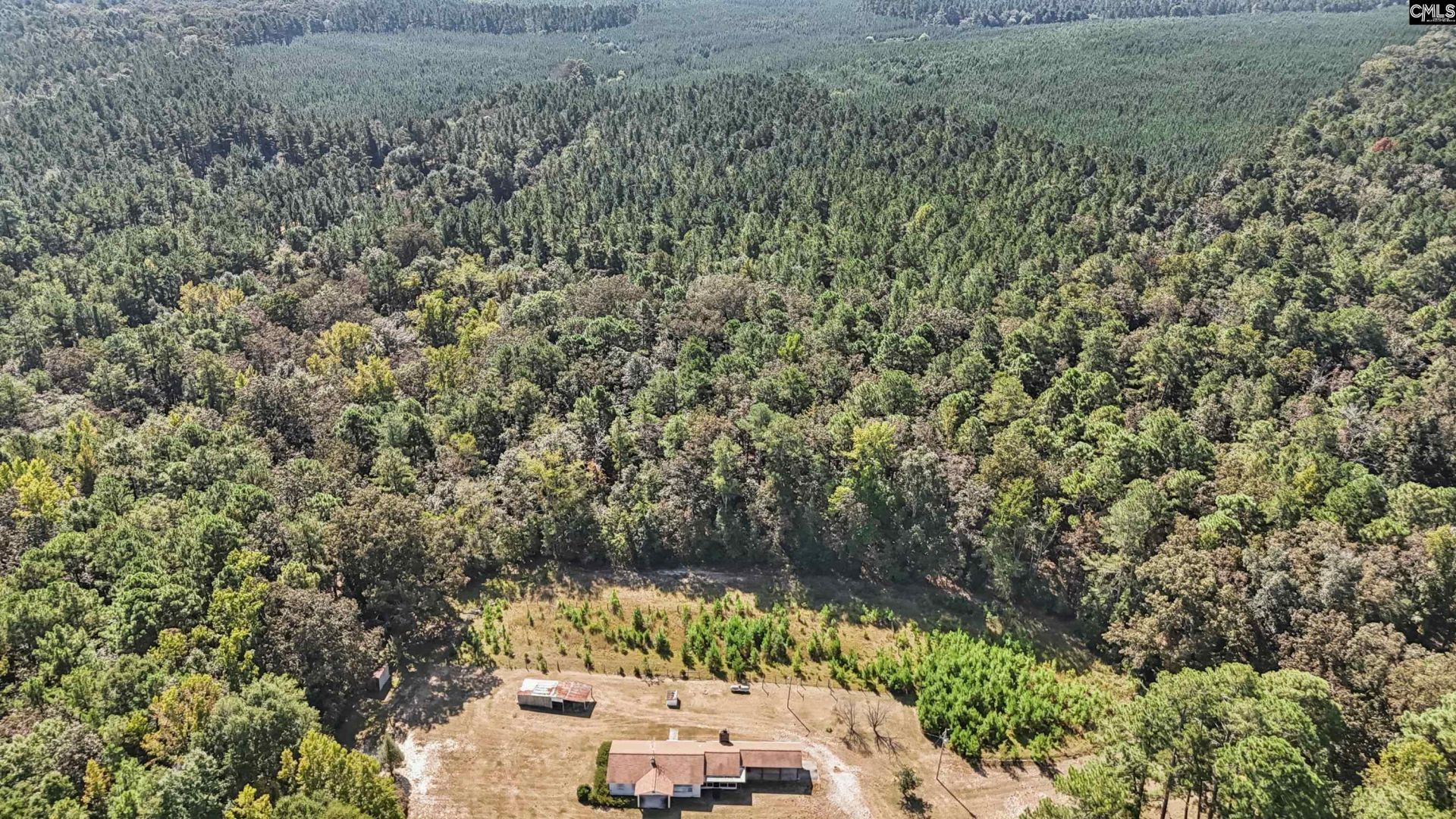 7166 Wagener Road Photo 39