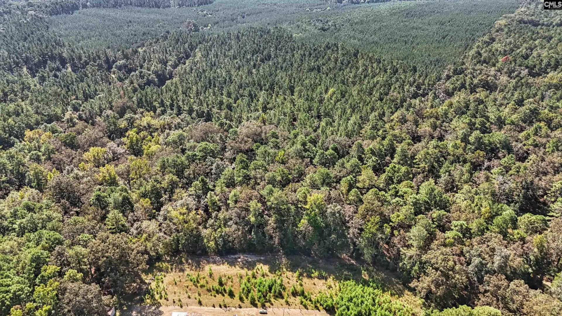 7166 Wagener Road Photo 41