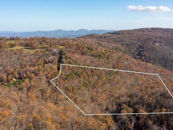 OLD STONY RIDGE RD, Unit 7, AFTON, VA 22920