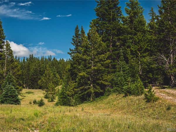 5347 Monitor, Leadville, CO 80461