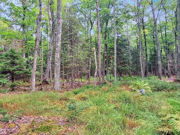 657 Spruce Ln, La Pointe, WI 54850