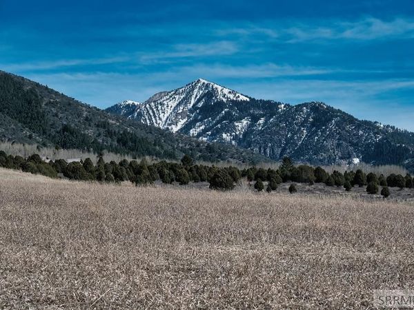 TBD Sumac Loop, IRWIN, ID 83428