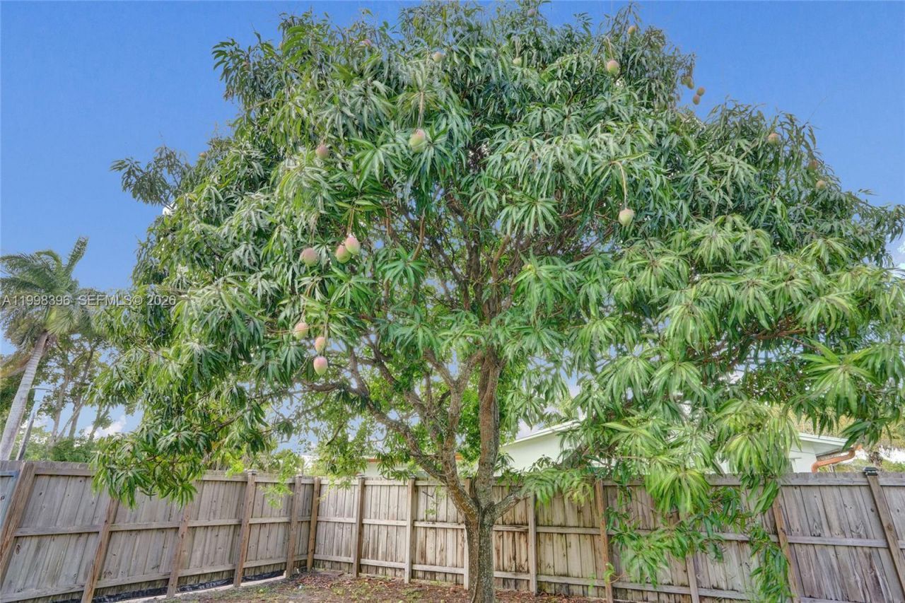 460 SW 66th Ave, Margate, FL 33068 Photo