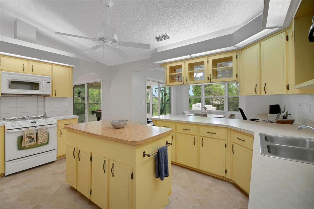 335 River Glass Court , Leesburg, FL 34788 Photo