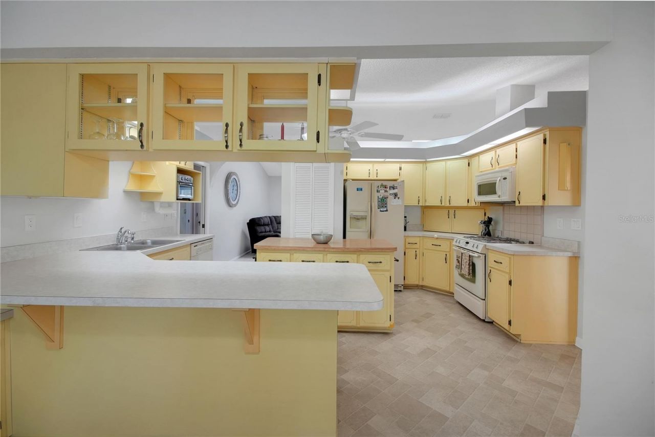 335 River Glass Court , Leesburg, FL 34788 Photo