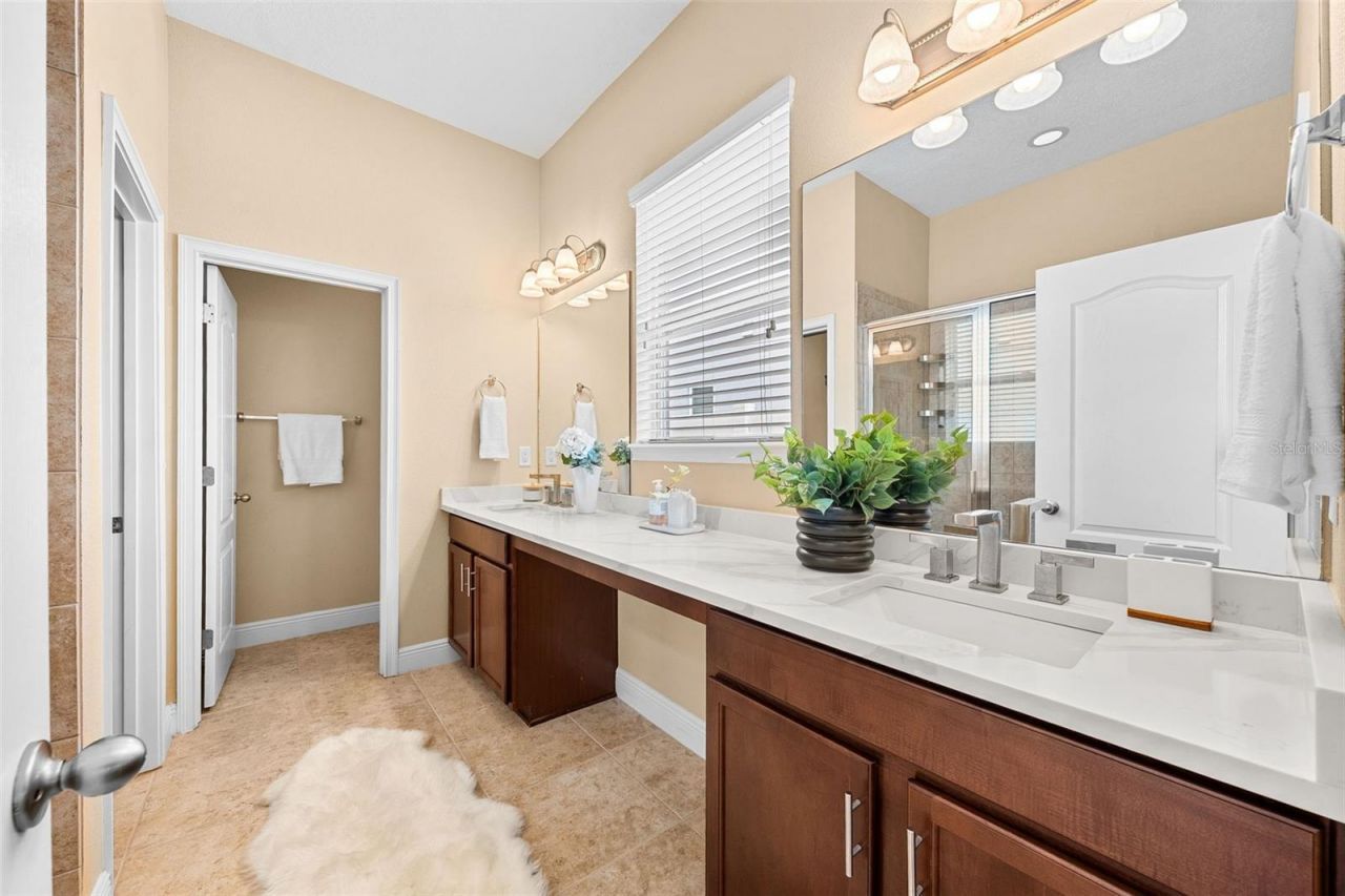 8115 Champions Forest Way, Tampa, FL 33635 Photo