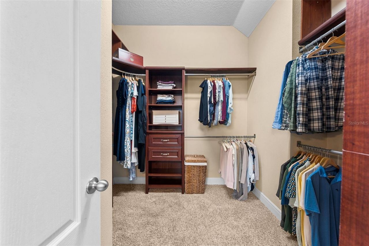 8115 Champions Forest Way, Tampa, FL 33635 Photo