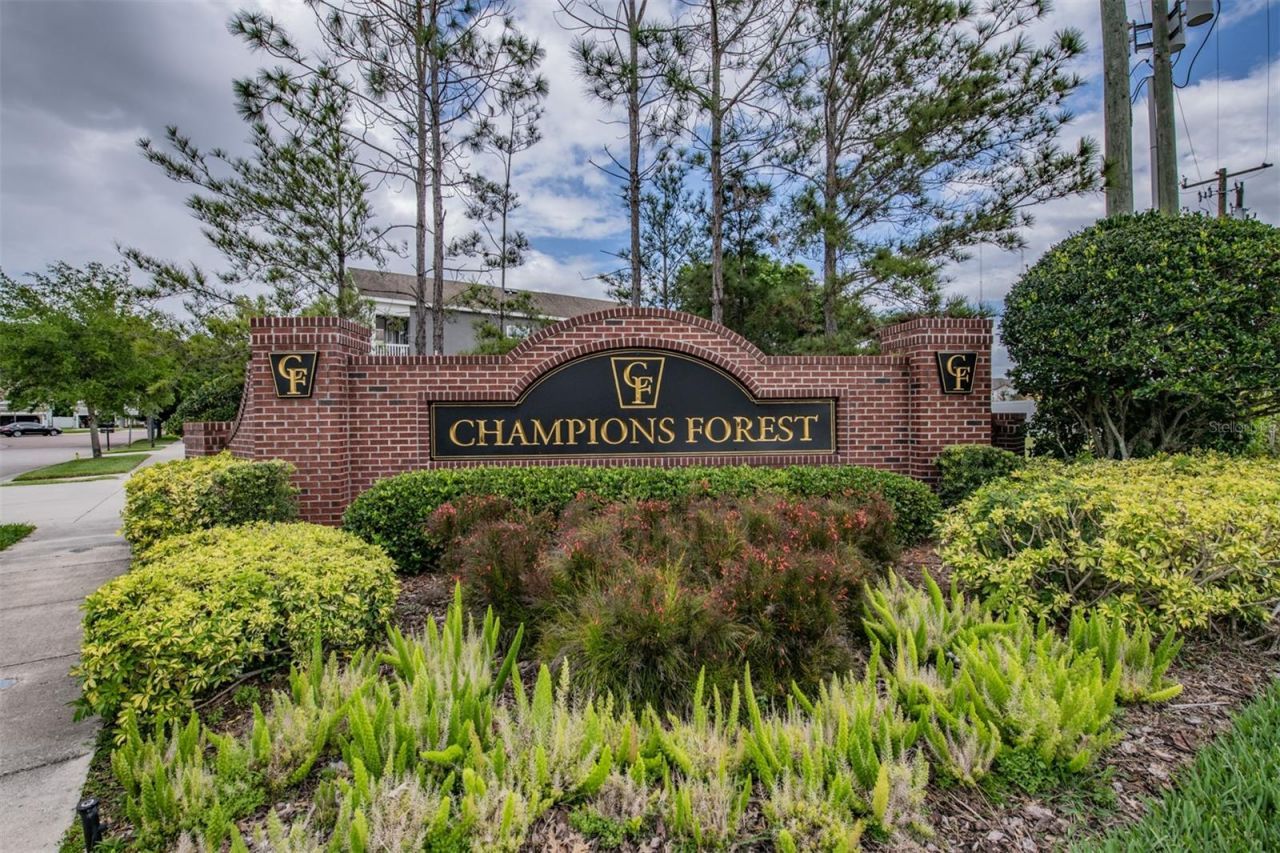 8115 Champions Forest Way, Tampa, FL 33635 Photo