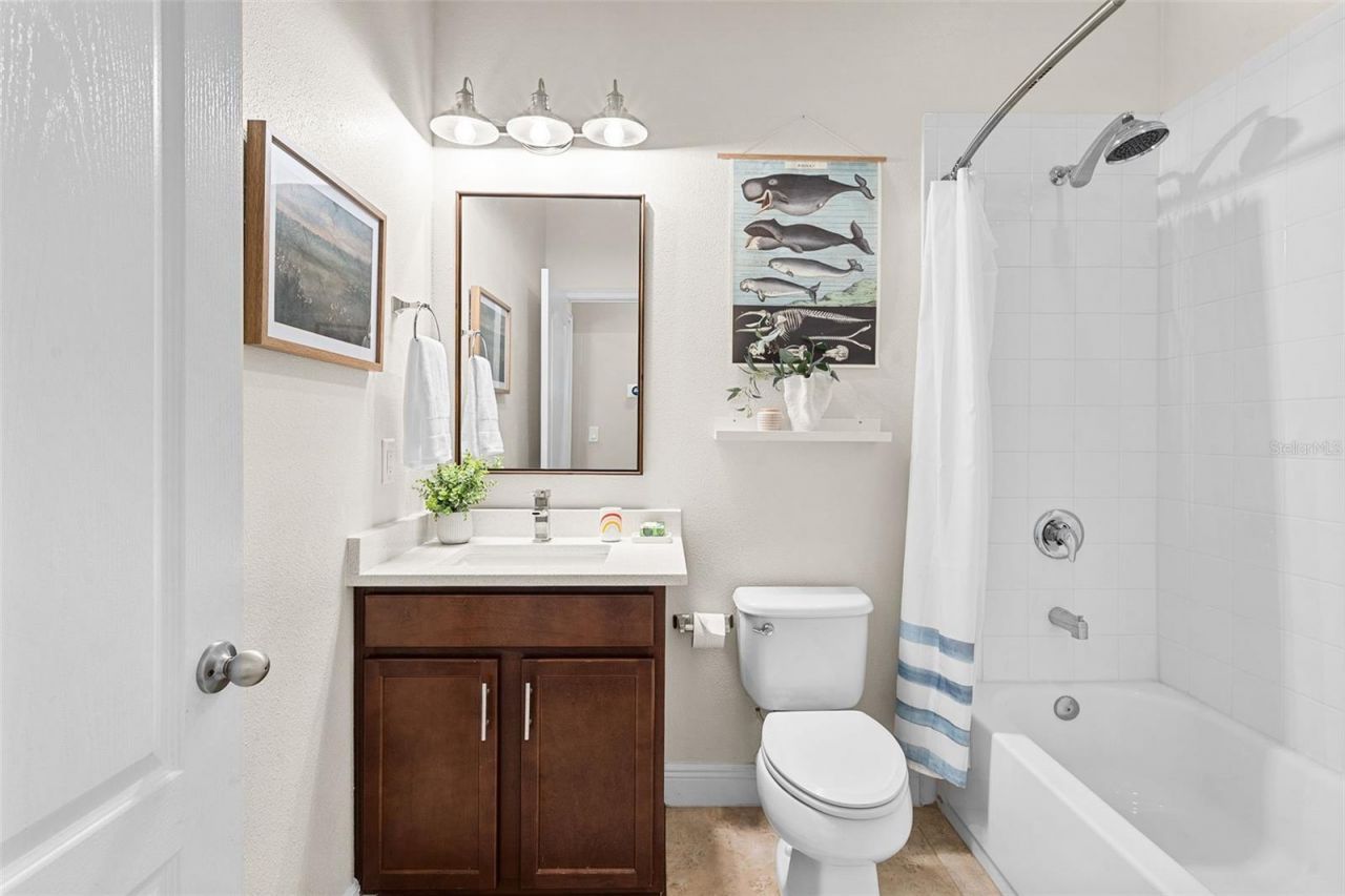 8115 Champions Forest Way, Tampa, FL 33635 Photo