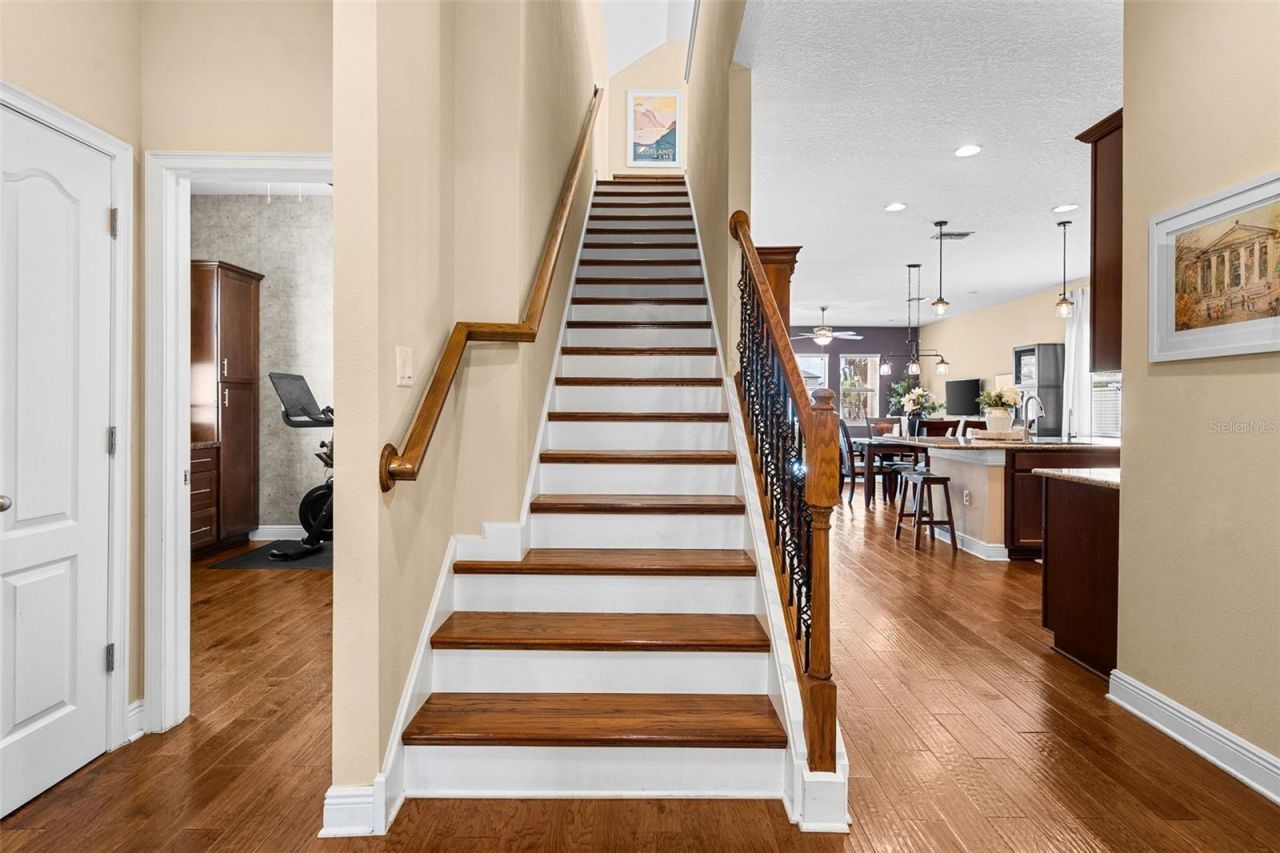 8115 Champions Forest Way, Tampa, FL 33635 Photo