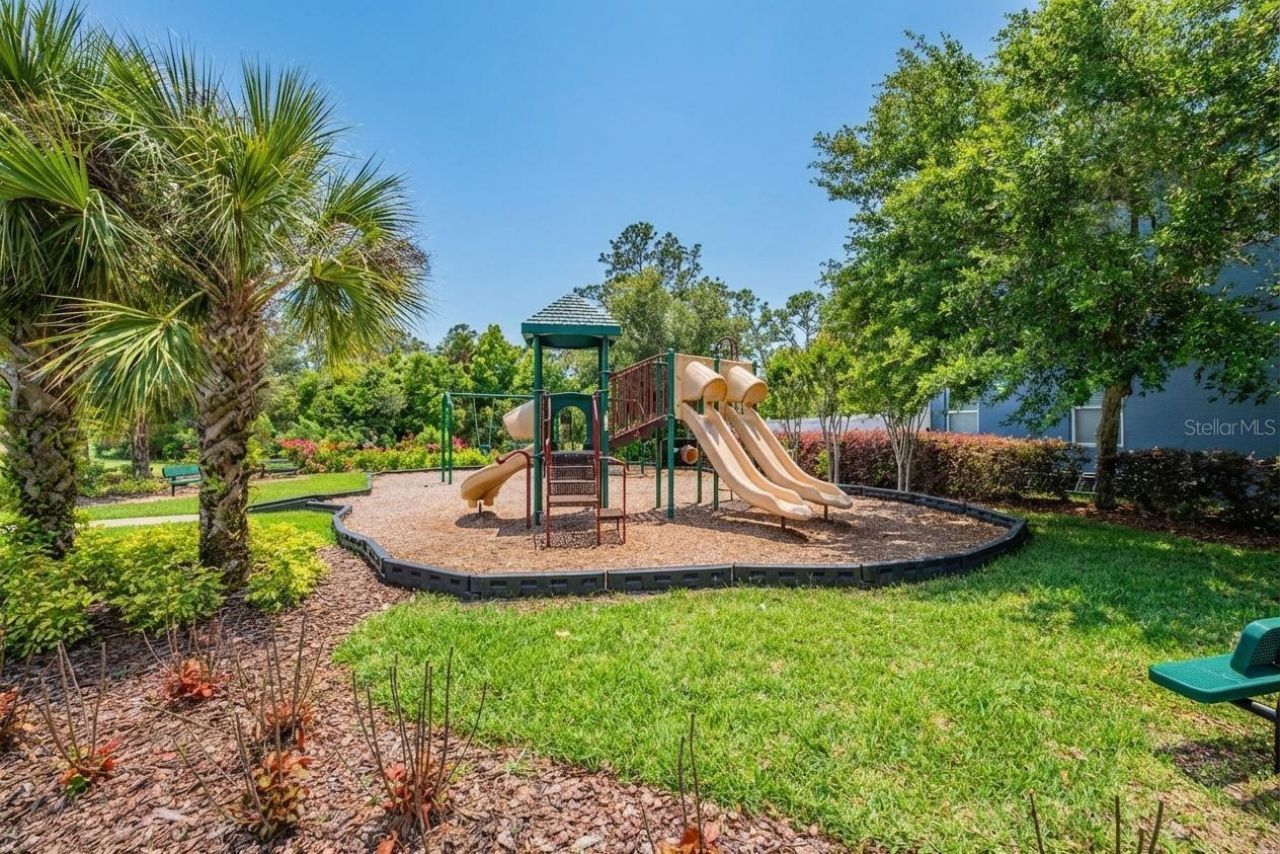 8115 Champions Forest Way, Tampa, FL 33635 Photo