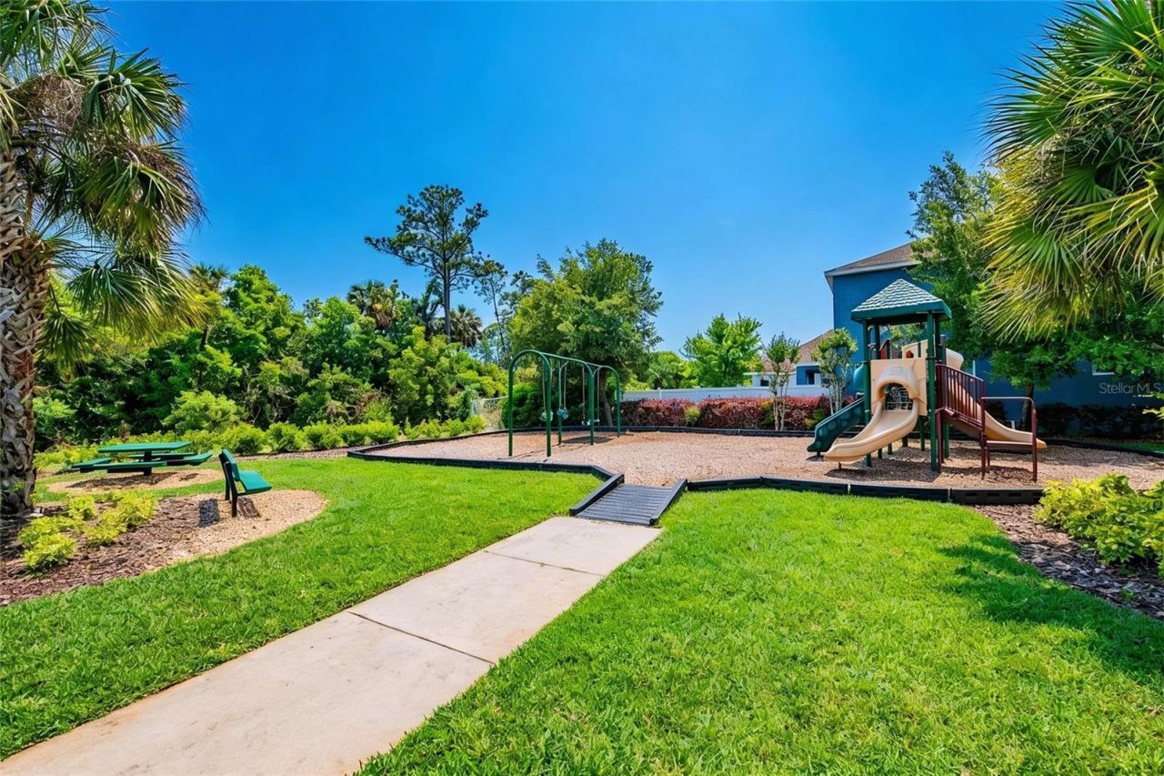 8115 Champions Forest Way, Tampa, FL 33635 Photo