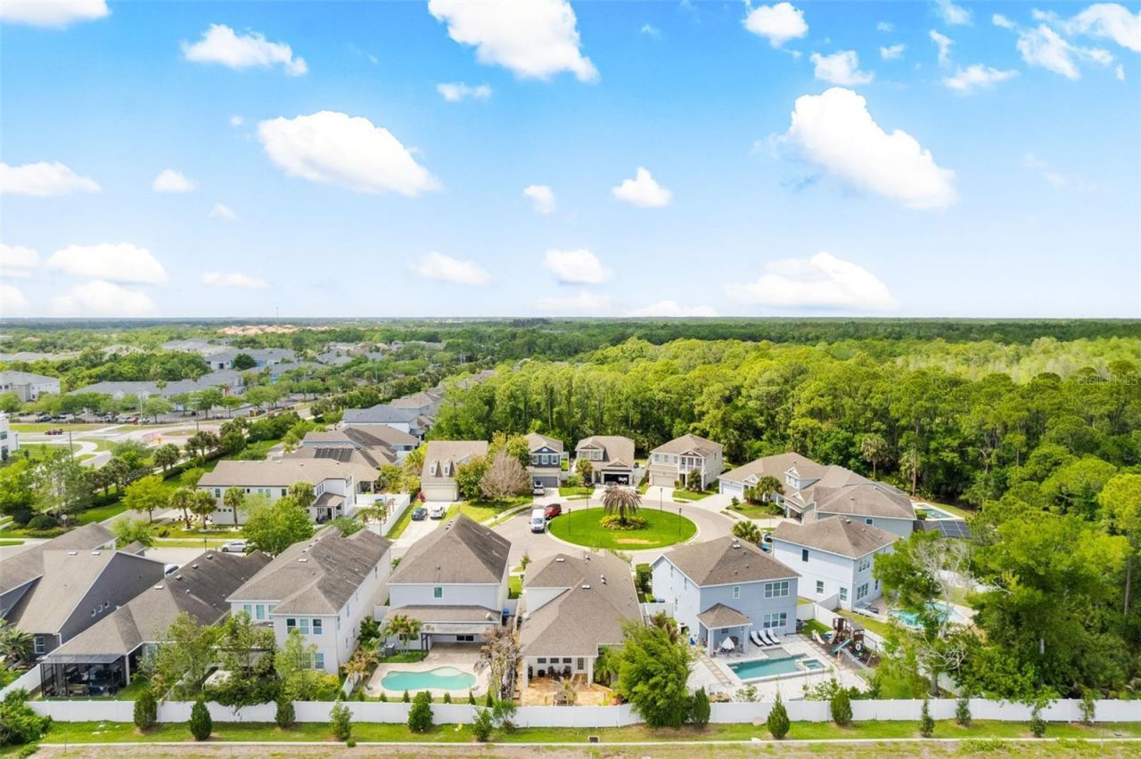 8115 Champions Forest Way, Tampa, FL 33635 Photo