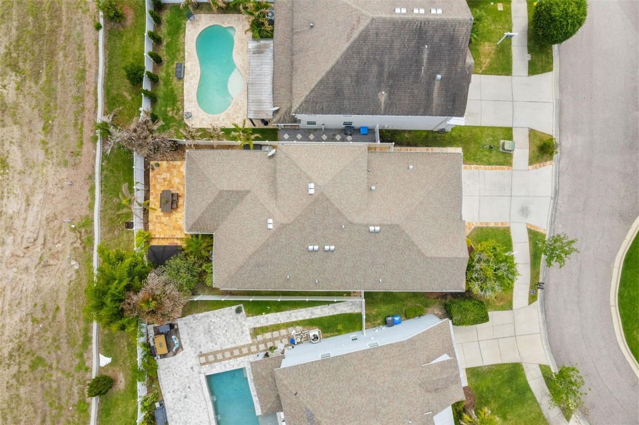 8115 Champions Forest Way, Tampa, FL 33635 Photo