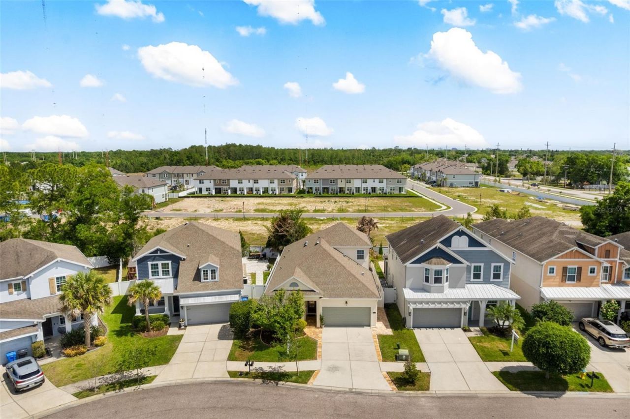 8115 Champions Forest Way, Tampa, FL 33635 Photo