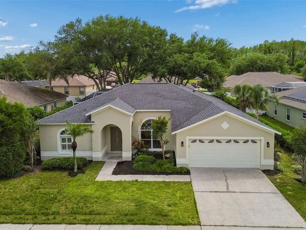 1311 WYNDHAM LAKES DRIVE, ODESSA, FL 33556