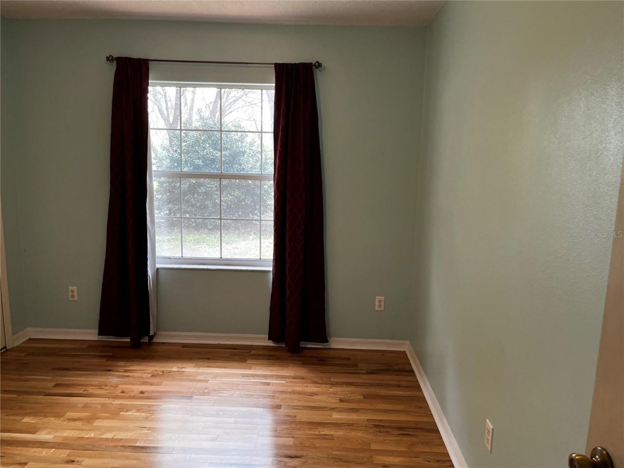 29716 Deerwood Farms Road, Sorrento, FL 32776 Photo