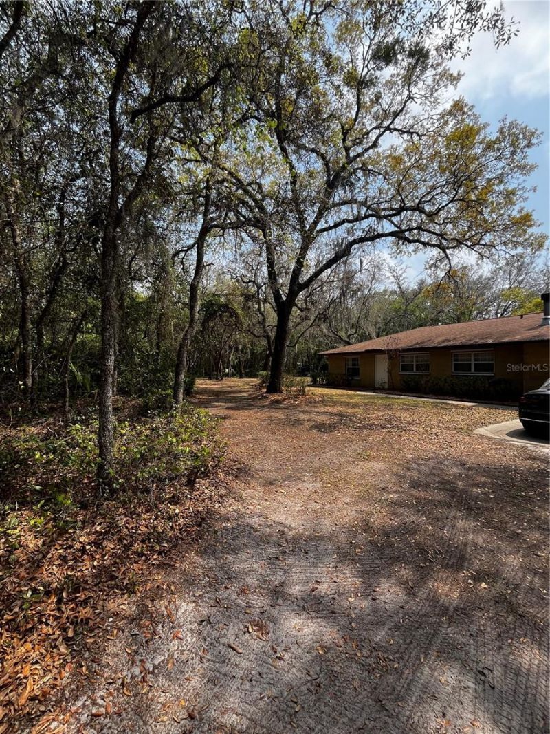 29716 Deerwood Farms Road, Sorrento, FL 32776 Photo