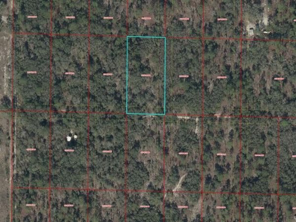 TBD SE 62ND , MORRISTON, FL 32668