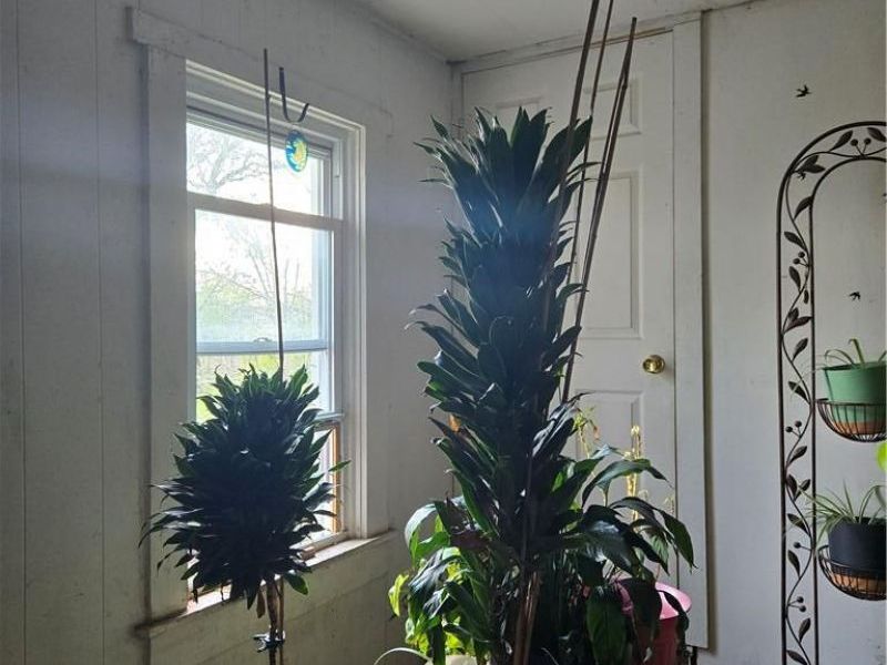 637 Willow Street, Dayton, OH 45404 Photo 14