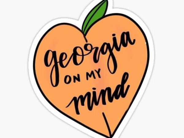 855 John Court,, Lawrenceville, GA 30046