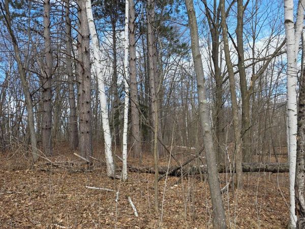 00 Highway W, Weyerhaeuser, WI 54895