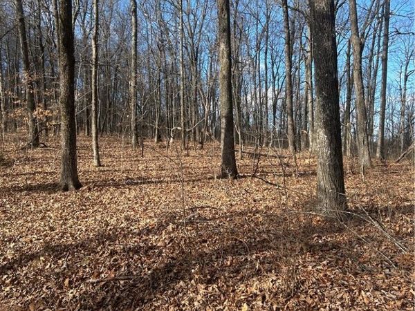 Madison 3605 , Kingston, AR 72742