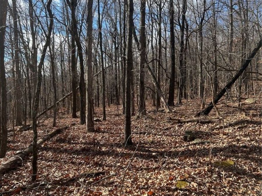 Property Image 6