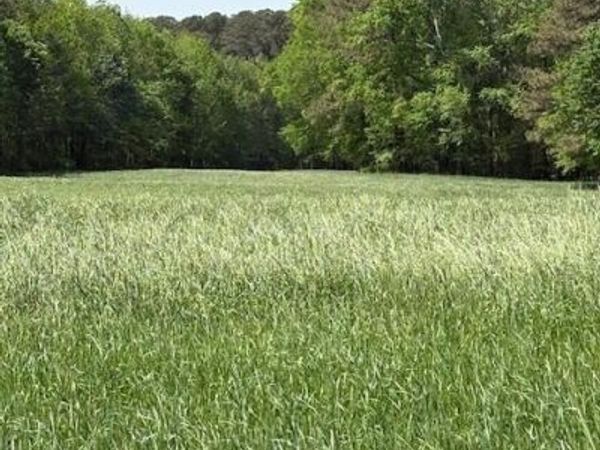 000 Leon Road, Nashville, NC 27856