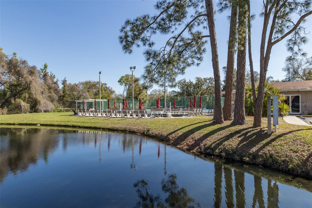 4832 Sunnybrook Drive, Unit 21, New Port Richey, FL 34653 Photo