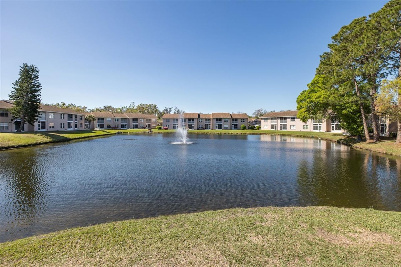 4832 Sunnybrook Drive, Unit 21, New Port Richey, FL 34653 Photo