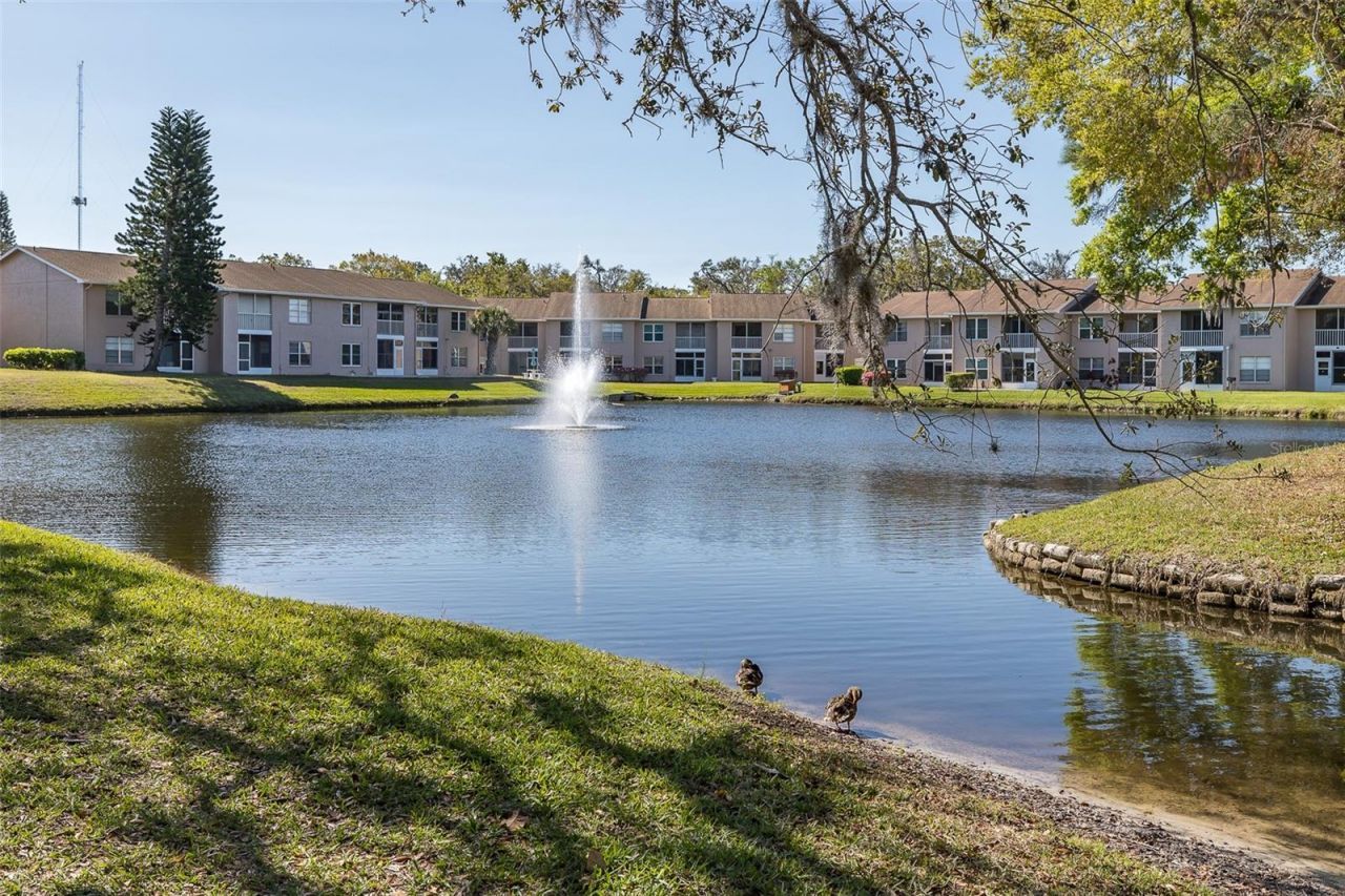 4832 Sunnybrook Drive, Unit 21, New Port Richey, FL 34653 Photo