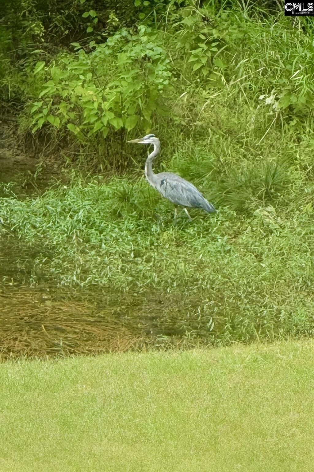 1008 Jones Road Photo 36