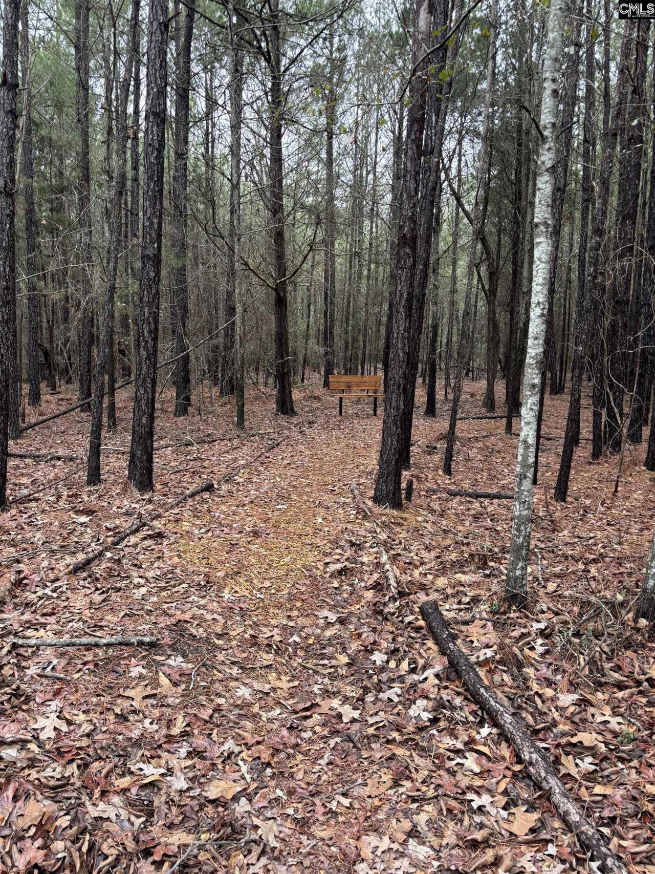 1008 Jones Road Photo 38