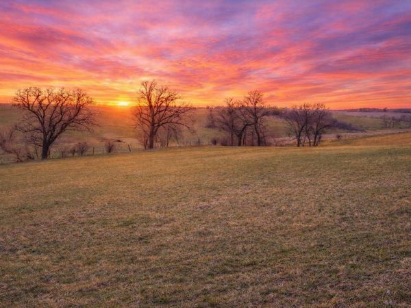 1774 Peppy Place Road, Decorah, IA 52101