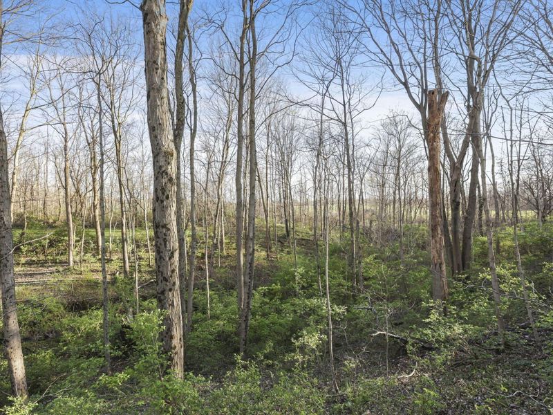 6164 Heigle Road SW, Amanda, OH 43102 Photo 10