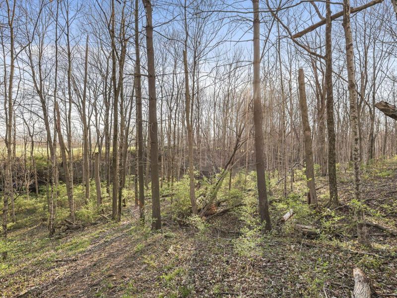 6164 Heigle Road SW, Amanda, OH 43102 Photo 11