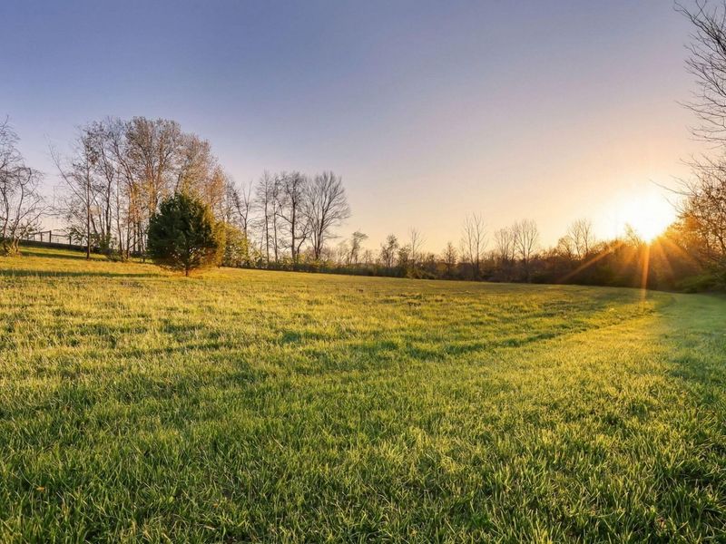 6164 Heigle Road SW, Amanda, OH 43102 Photo 19