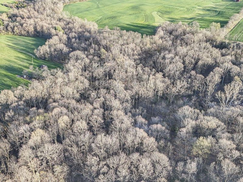 6164 Heigle Road SW, Amanda, OH 43102 Photo 26