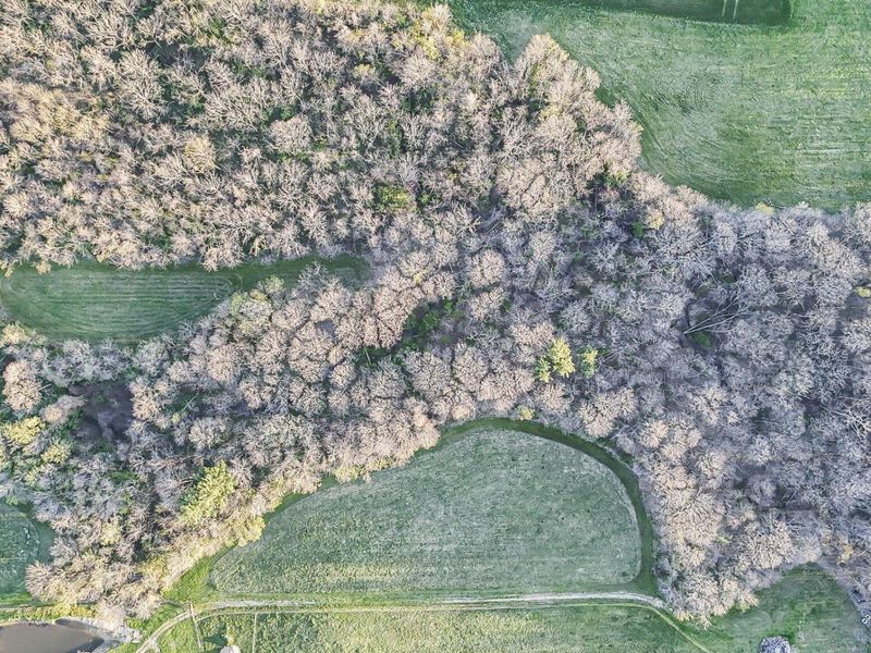 6164 Heigle Road SW, Amanda, OH 43102 Photo 37