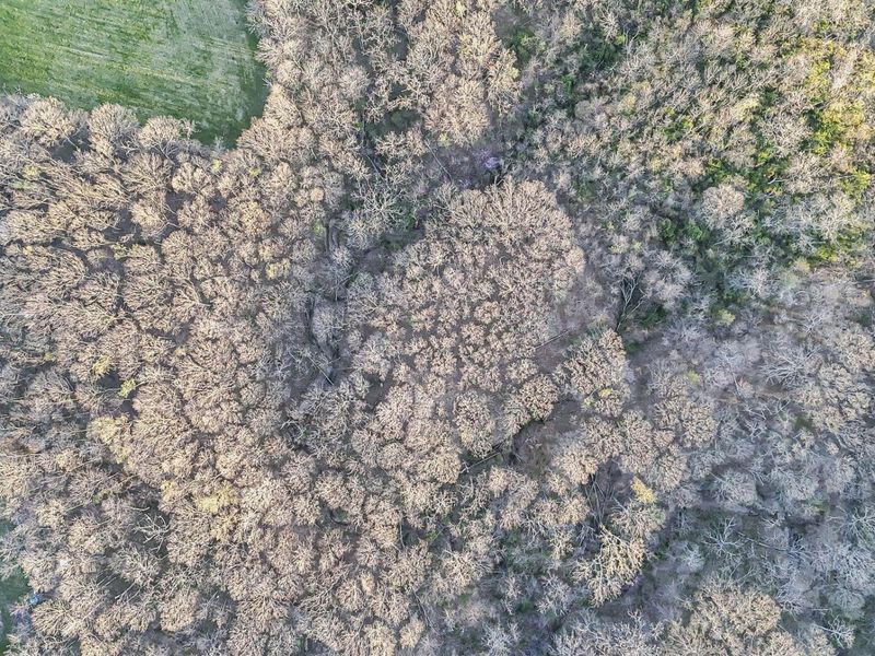 6164 Heigle Road SW, Amanda, OH 43102 Photo 38