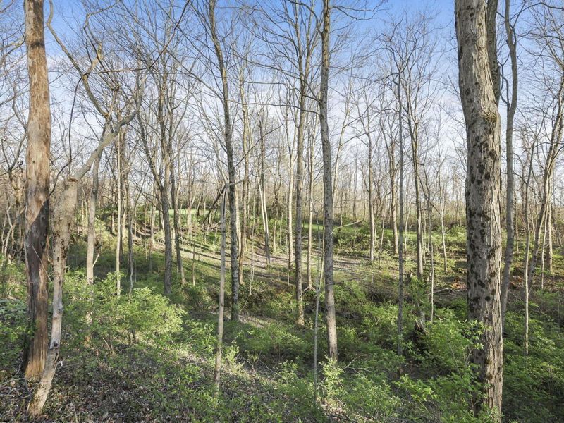 6164 Heigle Road SW, Amanda, OH 43102 Photo 5