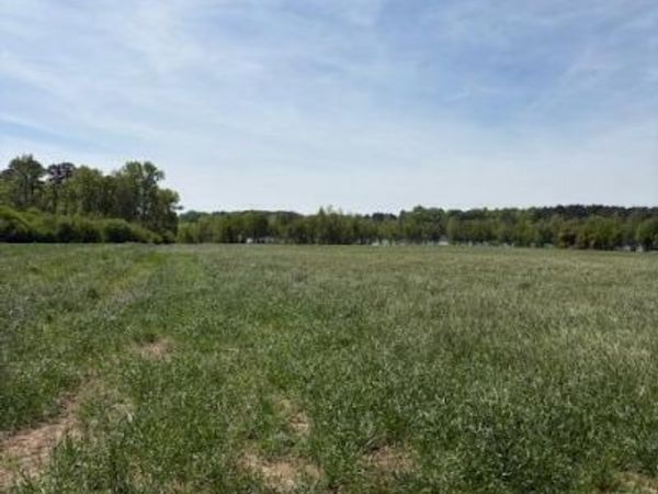 Tract 1 Leon Road, Nashville, NC 27856