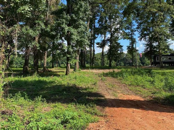 87 Sandy Bottoms Road, Gainestown, AL 36540