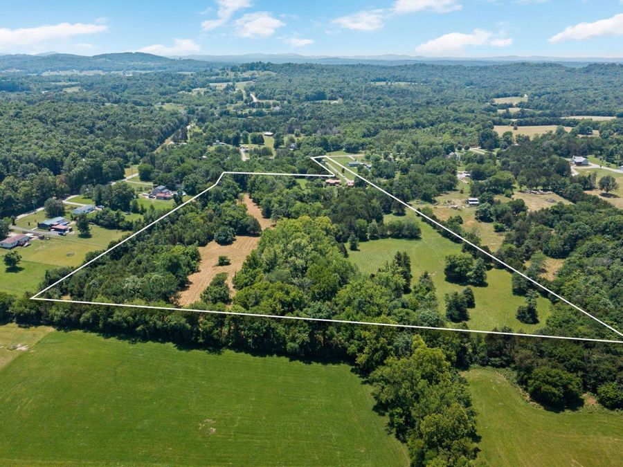 Property Image 6