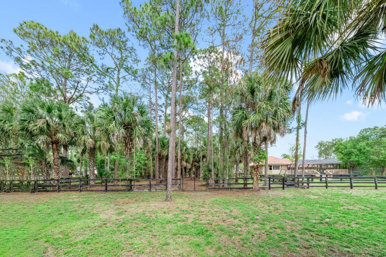 2559 Palm Deer Drive, Loxahatchee, FL 33470 Photo