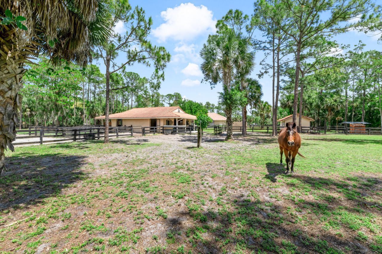 2559 Palm Deer Drive, Loxahatchee, FL 33470 Photo