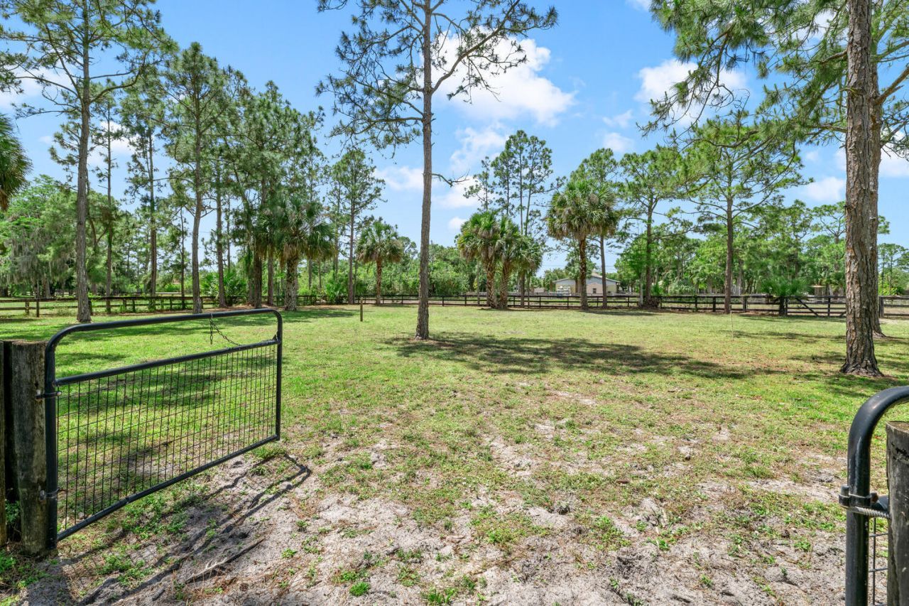 2559 Palm Deer Drive, Loxahatchee, FL 33470 Photo