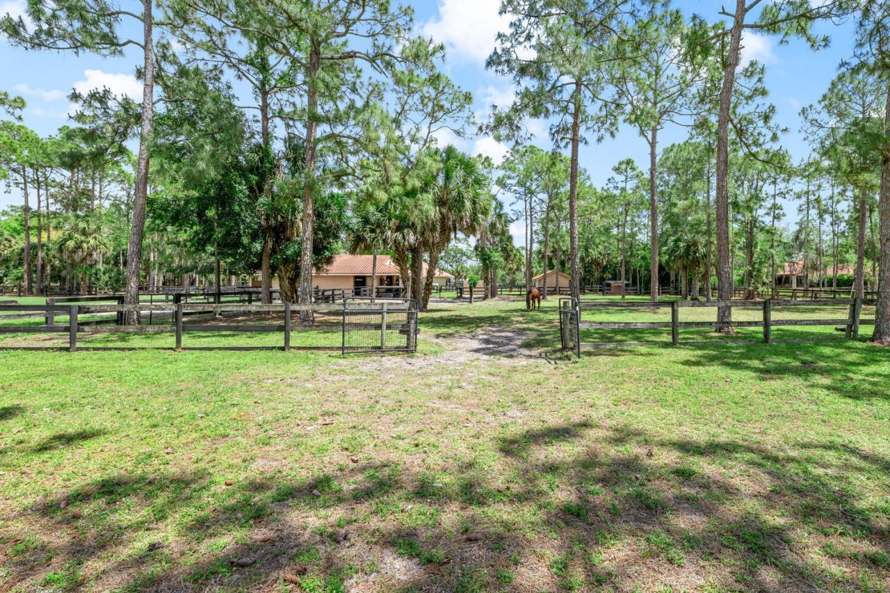 2559 Palm Deer Drive, Loxahatchee, FL 33470 Photo