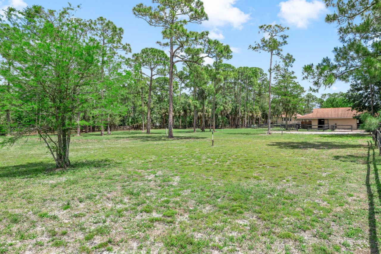 2559 Palm Deer Drive, Loxahatchee, FL 33470 Photo